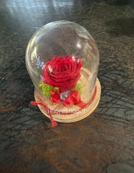 ETERNITY ROSE CUPOLA