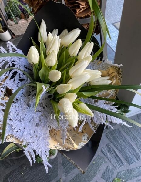 TULIPS  WHITE CHRISTMAS